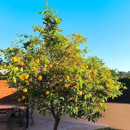 Adosado Con Jardin En Los Xalets De 萨洛 外观 照片